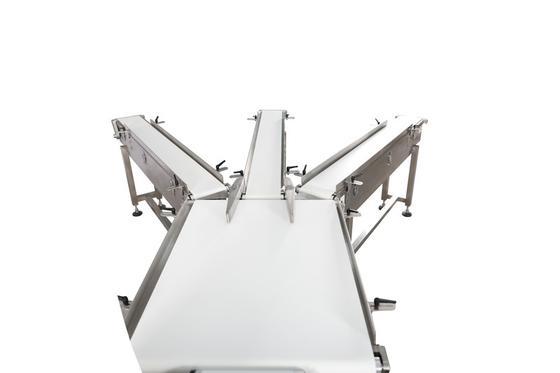 Food Weighing Scale Classifier Automatic Weighing Machine